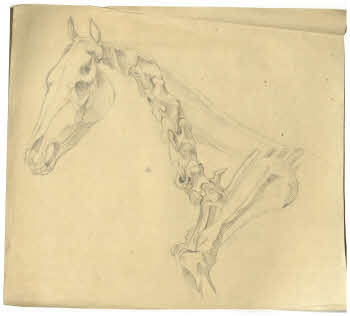 Visualizza l'immagine "FD D 166"